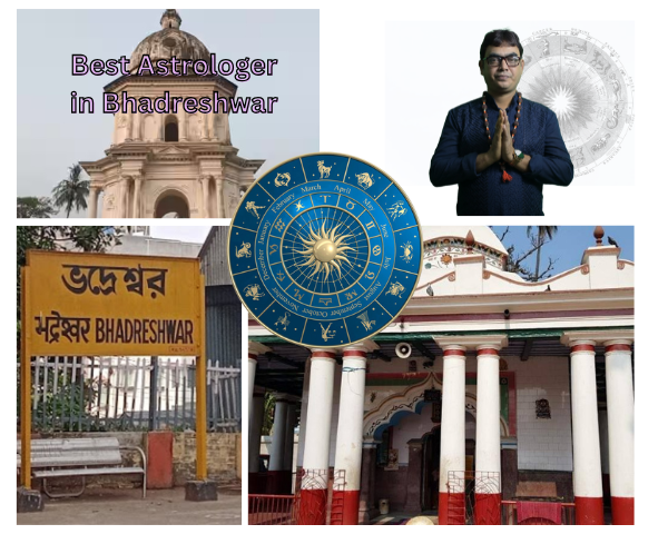 Best Astrologer in Bhadreshwar